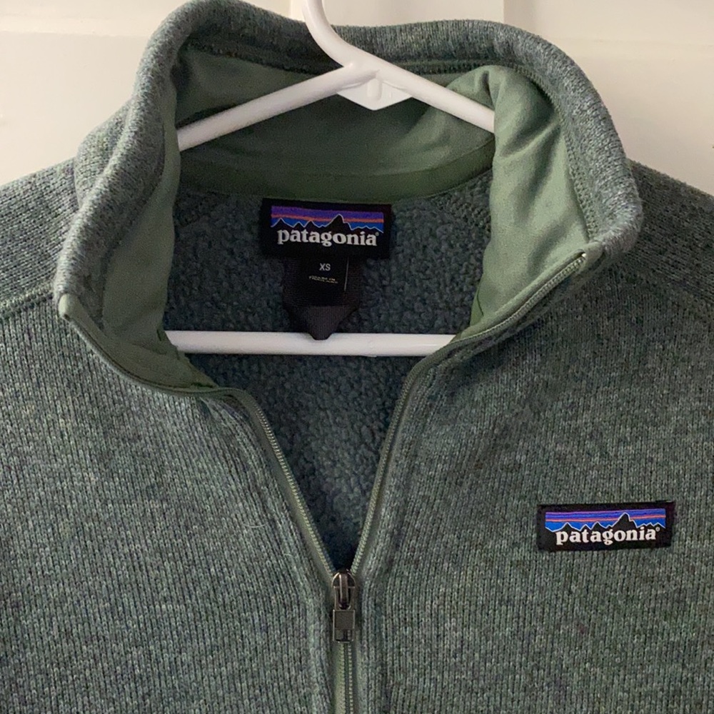 Patagonia Green Better Sweater